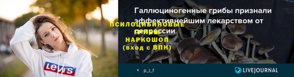 гашик Краснотурьинск