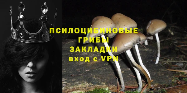 гашик Краснотурьинск