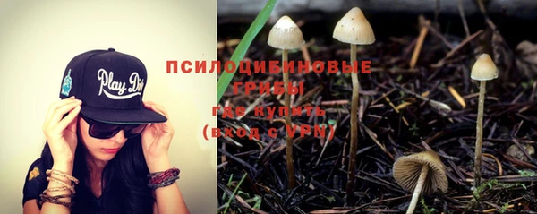 гашик Краснотурьинск